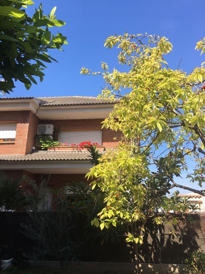 鲁维Casa De Aurora公寓 外观 照片
