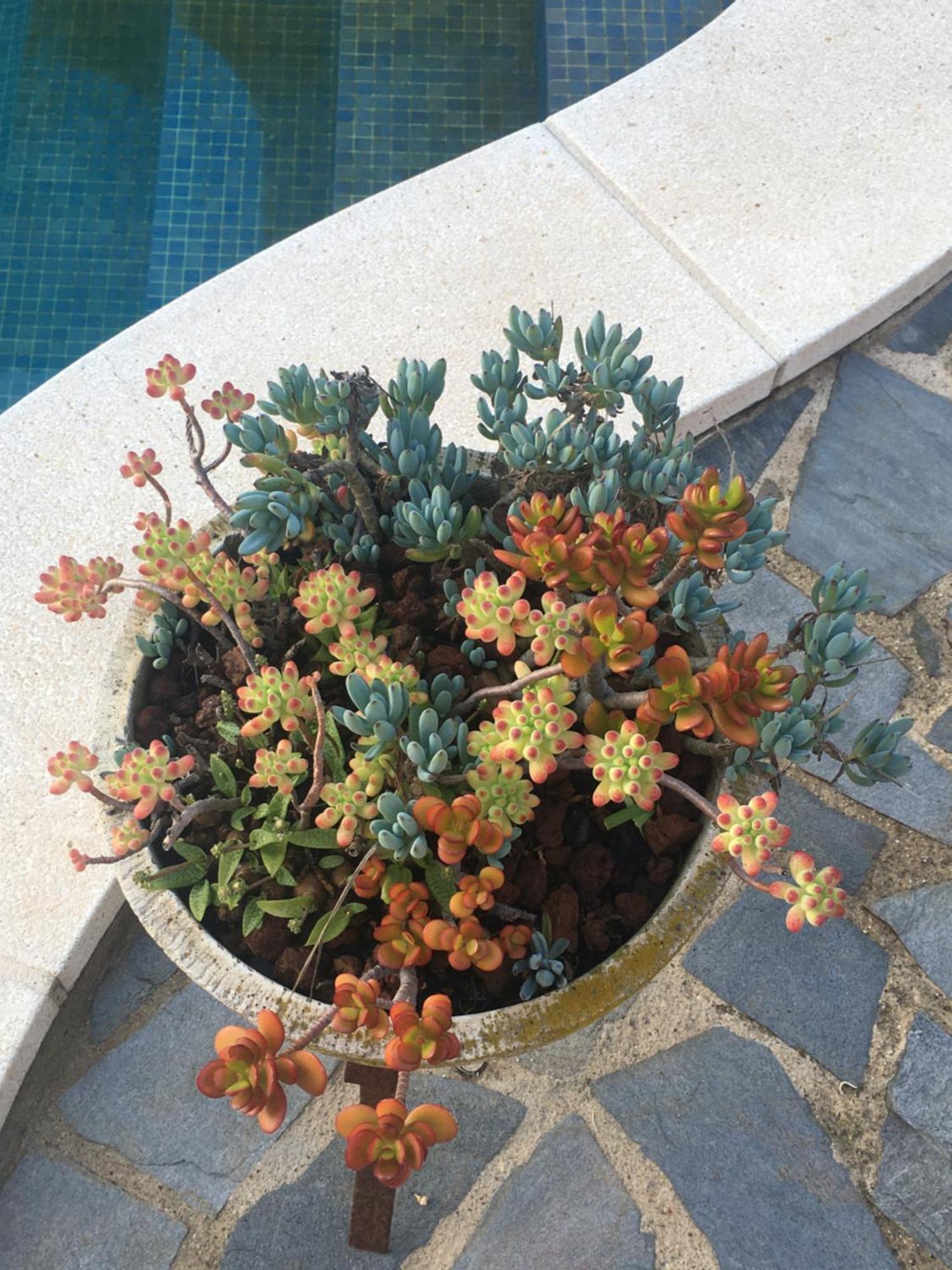 鲁维Casa De Aurora公寓 外观 照片